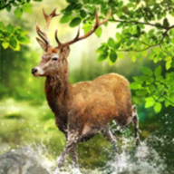 集資8分鐘就達標！Dream Glass 4K AR智慧眼鏡募資上看1000萬